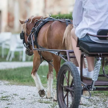 Dvorec Rakican Hotel Murska Sobota