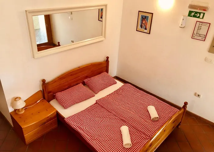 Dvorec Rakican Hotel 3*