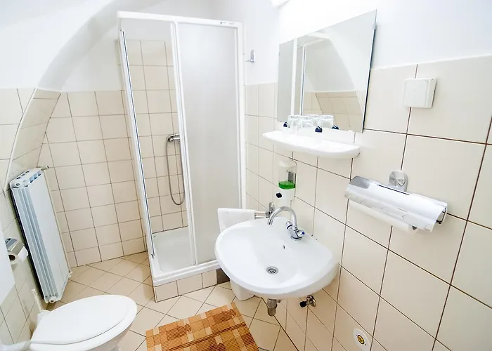 Hotel Dvorec Rakican 3*